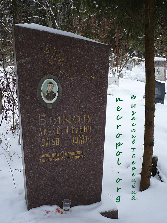 Могила военного лётчика Алексея Быкова; фото Изяслава Тверецкого, февраль 2009 г.