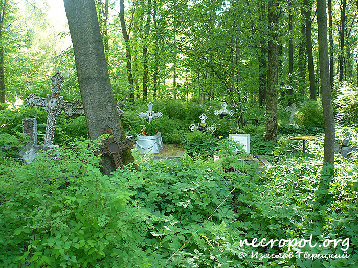 Вид Смоленского православного кладбища; фото Изяслава Тверецкого, май 2010 г.