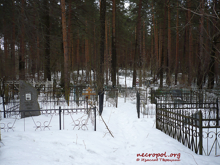 Вид кладбища «Большие Перемерки»; фото Изяслава Тверецкого, март 2009 г.