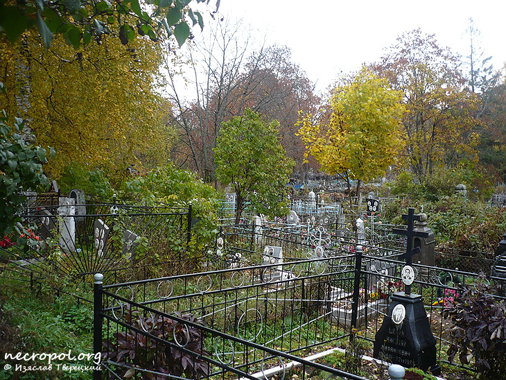 Вид Иоанно-Богословского кладбища (на старой территории); фото Изяслава Тверецкого, октябрь 2010 г.