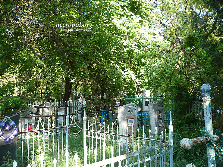 Вид Капустяного кладбища; фото Изяслава Тверецкого,  май 2011 г.