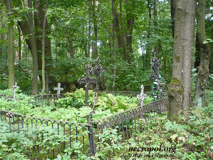 Вид Смоленского православного кладбища в городе Санкт-Петербург; фото Изяслава Тверецкого, 2010/2011 гг.