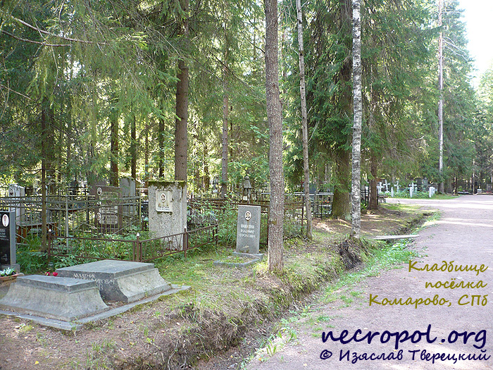 Один из видов кладбища посёлка Комарово; фото Изяслава Тверецкого, август 2009 г.
