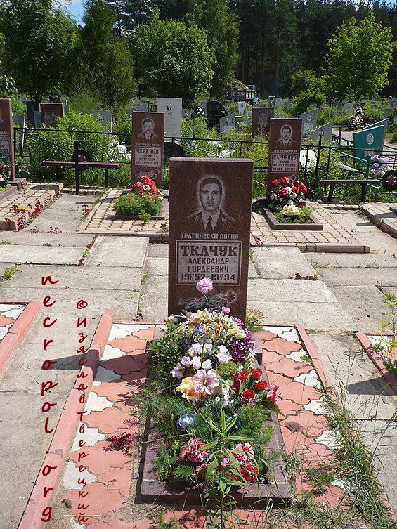 Могила капитана Александра Ткачука; фото Изяслава Тверецкого, май 2008 г.