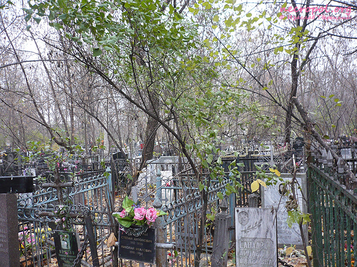 Вид Калитниковского Кладбища; фото Изяслава Тверецкого, ноябрь 2009 г.