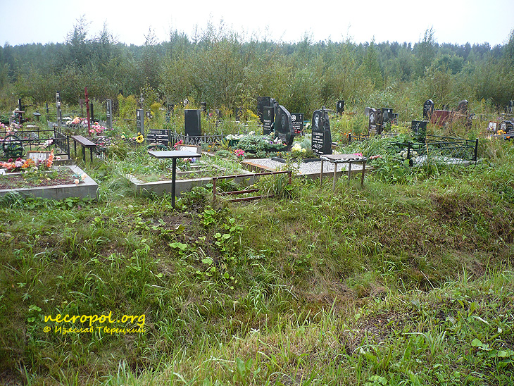 Вид Ковалёвского кладбища; фото Изяслава Тверецкого, сентябрь 2010 г.