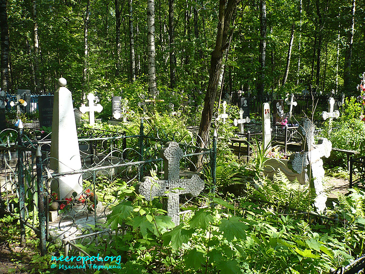 Вид Больше-Охтинского кладбища; фото Изяслава Тверецкого, май 2010 г.