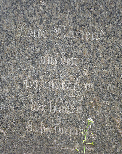 Могила двух представителей рода Гильдебрандт; фото Изяслава Тверецкого, май 2011 г.