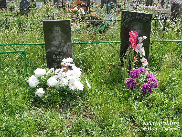 Вид Нового кладбища в пос. Старожилово; фото Игоря Суворова, июнь 2011 г.