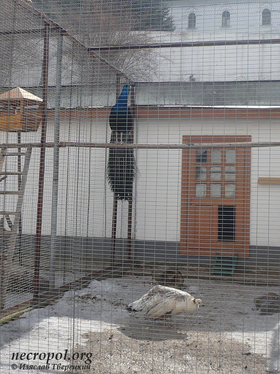 Птичник в Святогорской Лавре; фото Изяслава Тверецкого, март 2012 г.