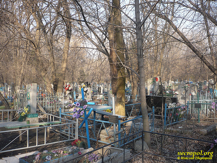 Вид Павло-Кичкасского кладбища; фото Изяслава Тверецкого, март 2012 г.